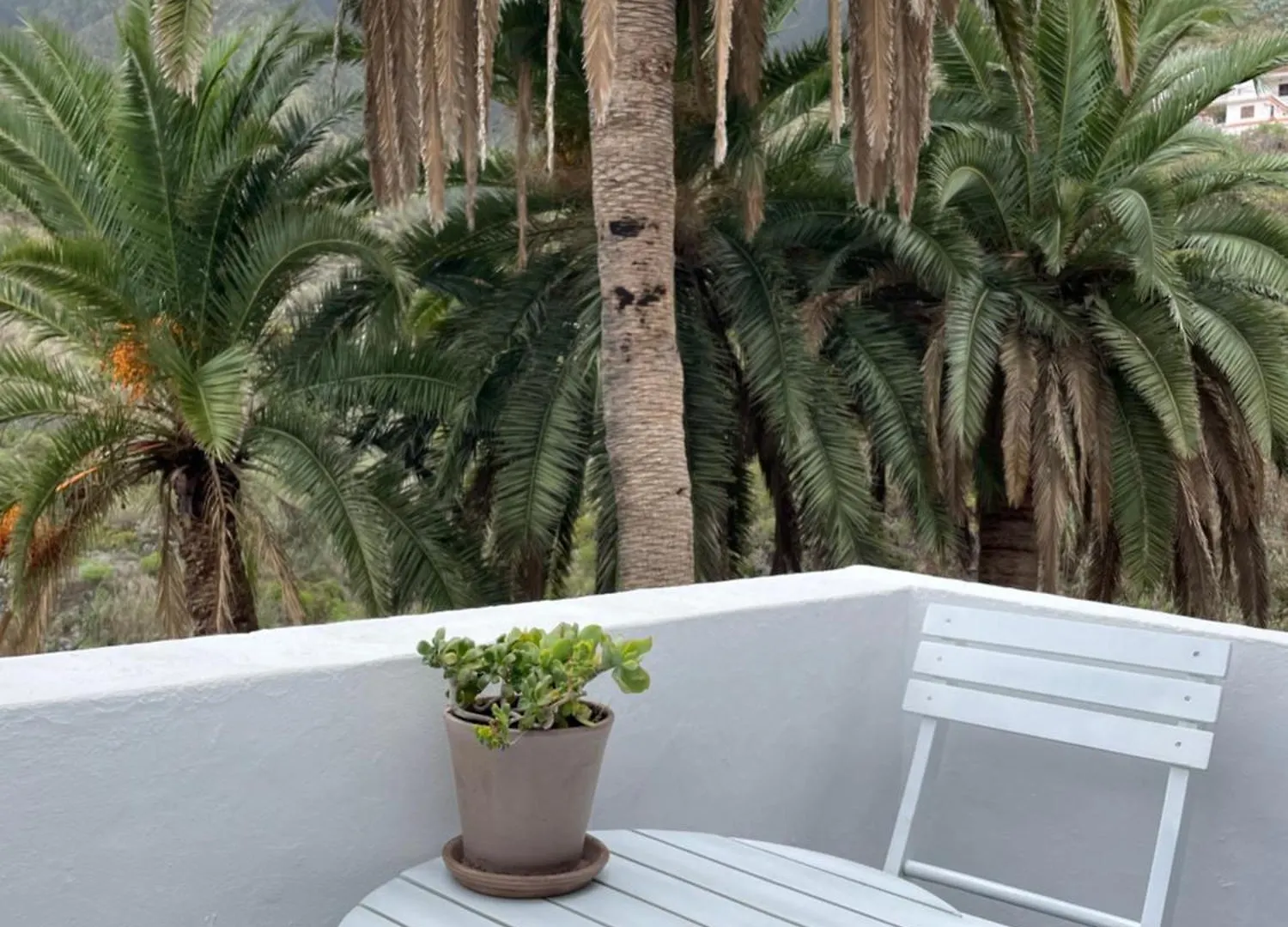 Theharmonyhousetaganana Villa Taganana